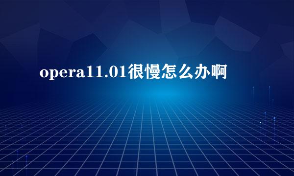 opera11.01很慢怎么办啊