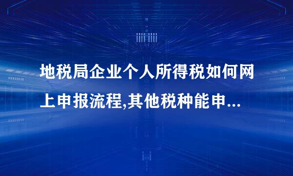 地税局企业个人所得税如何网上申报流程,其他税种能申报，就是个税不知道怎么操作？请高人指点