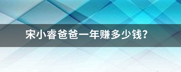 宋小睿爸爸一年赚来自多少钱？