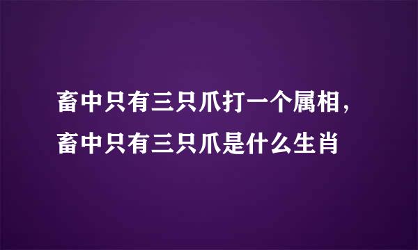 畜中只有三只爪打一个属相，畜中只有三只爪是什么生肖