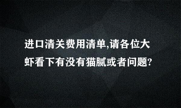 进口清关费用清单,请各位大虾看下有没有猫腻或者问题?