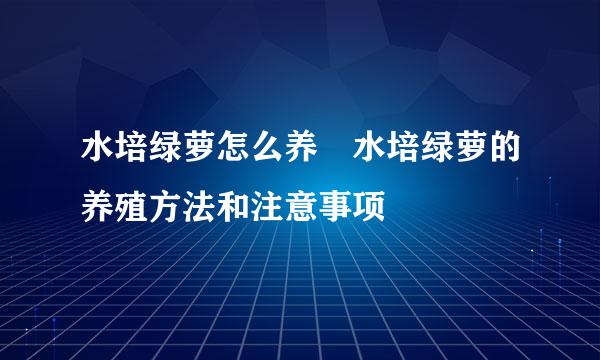 水培绿萝怎么养 水培绿萝的养殖方法和注意事项