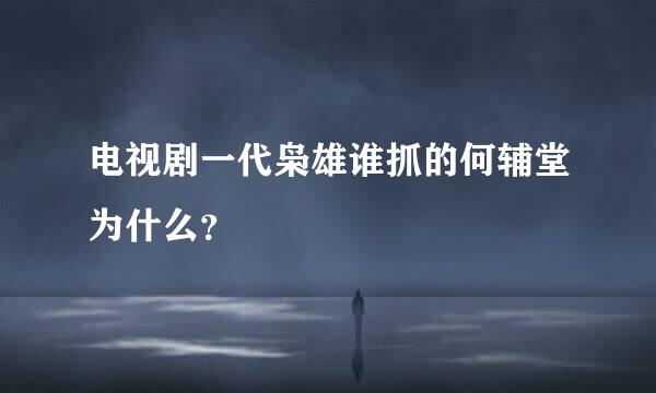 电视剧一代枭雄谁抓的何辅堂为什么？