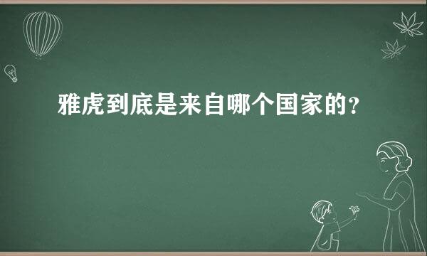 雅虎到底是来自哪个国家的？