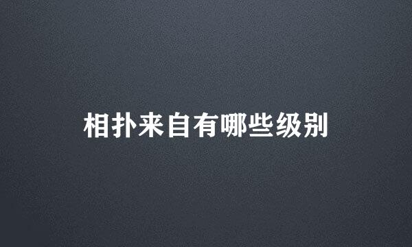 相扑来自有哪些级别