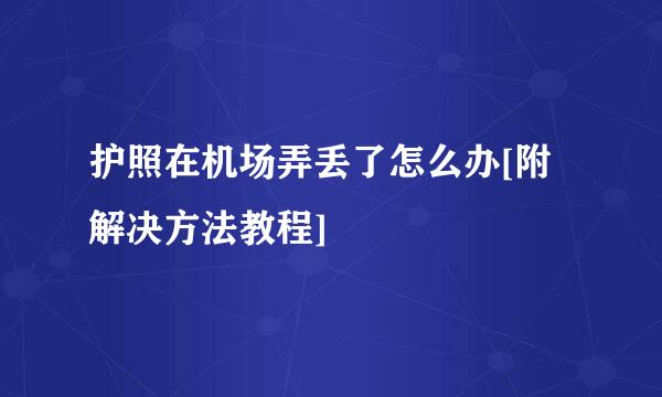 护照在机场弄丢了怎么办[附解决方法教程]