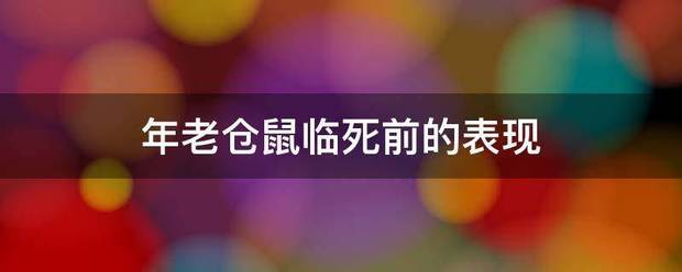 年老仓鼠临死前的表现