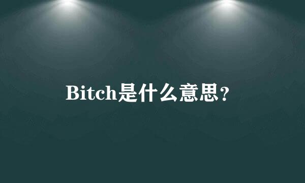 Bitch是什么意思？