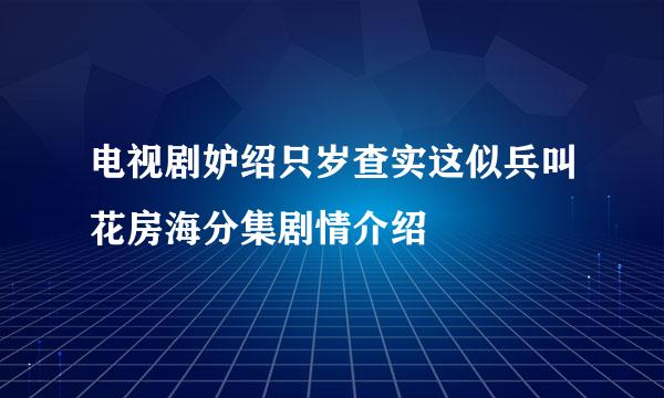 电视剧妒绍只岁查实这似兵叫花房海分集剧情介绍