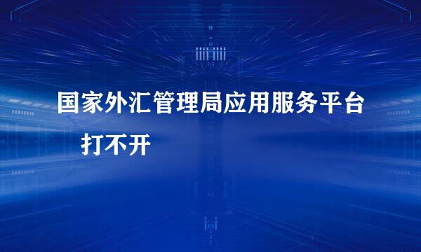 国家外汇管理局应用服务平台 打不开