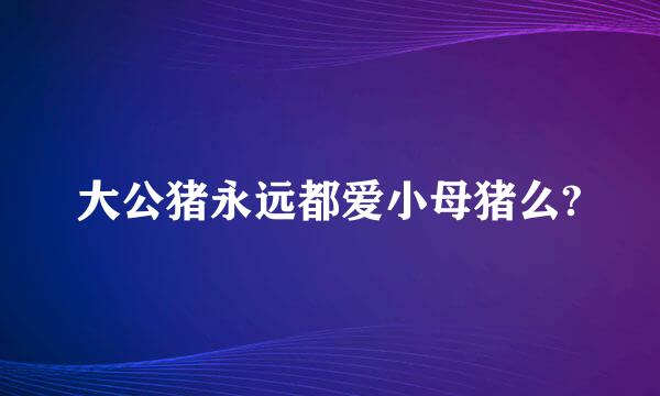 大公猪永远都爱小母猪么?