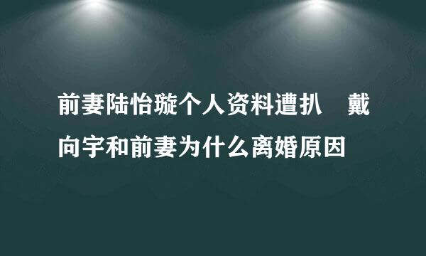 前妻陆怡璇个人资料遭扒 戴向宇和前妻为什么离婚原因