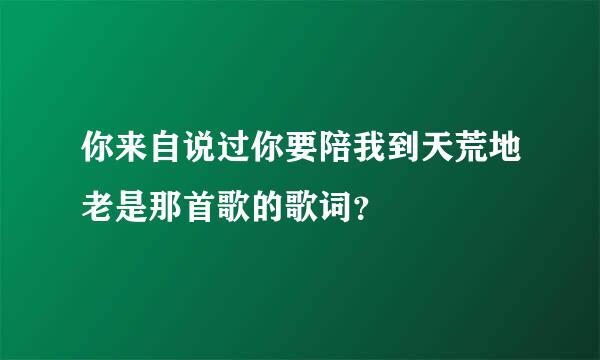 你来自说过你要陪我到天荒地老是那首歌的歌词？