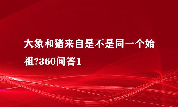 大象和猪来自是不是同一个始祖?360问答1