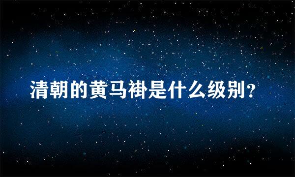 清朝的黄马褂是什么级别？