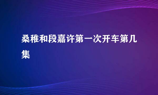 桑稚和段嘉许第一次开车第几集