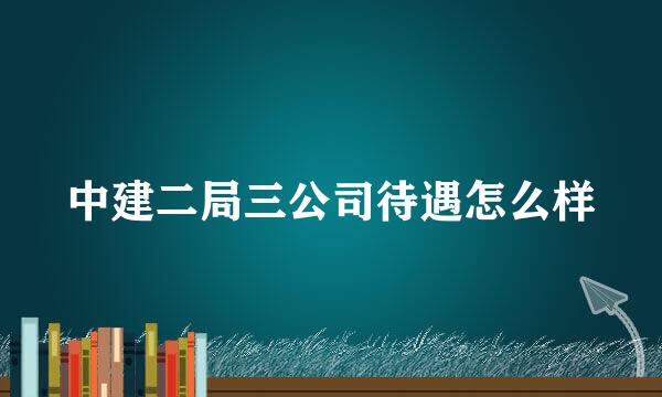 中建二局三公司待遇怎么样