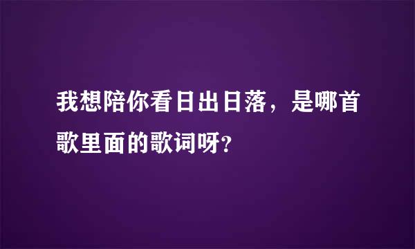 我想陪你看日出日落，是哪首歌里面的歌词呀？