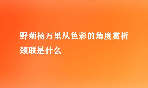 野菊杨万里从色彩的角度赏析颈联是什么