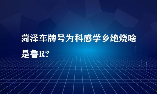 菏泽车牌号为科感学乡绝烧啥是鲁R?