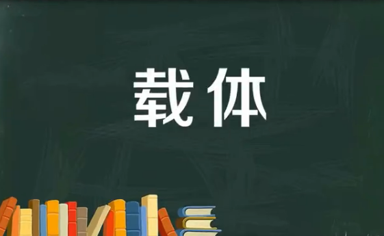 载体是什么意思