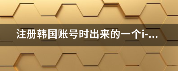 注册韩国账号时出来的一个i-PIN是什么东西阿，是什么侵音云城克群意思？