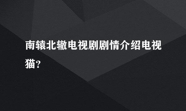 南辕北辙电视剧剧情介绍电视猫？