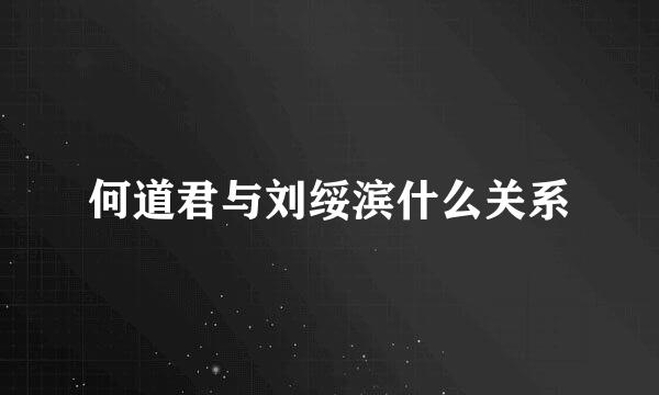 何道君与刘绥滨什么关系