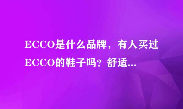 ECCO是什么品牌，有人买过ECCO的鞋子吗？舒适度怎样呢？