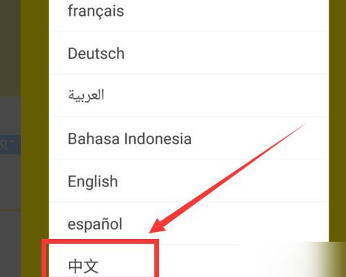 求问,在国内怎么使用KakaoTalk?