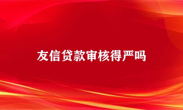 友信贷款审核得严吗