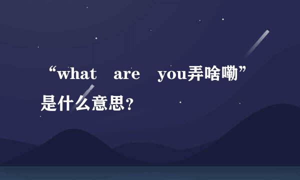 “what are you弄啥嘞”是什么意思？