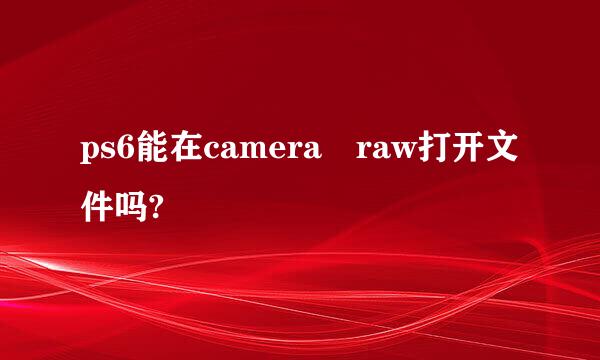 ps6能在camera raw打开文件吗?