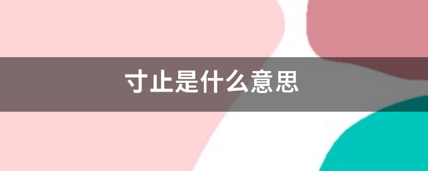 寸止是什么意思