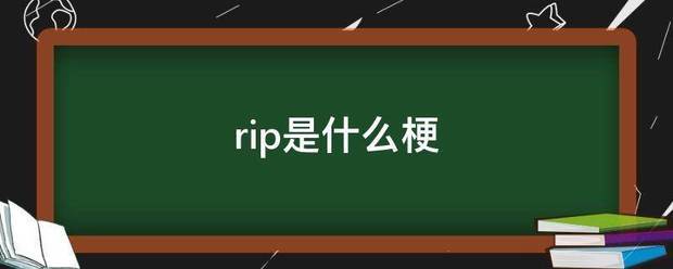 rip是什么梗