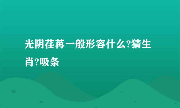 光阴荏苒一般形容什么?猜生肖?吸条