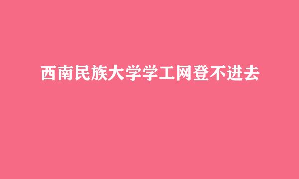 西南民族大学学工网登不进去