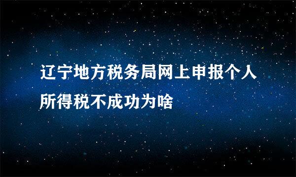 辽宁地方税务局网上申报个人所得税不成功为啥