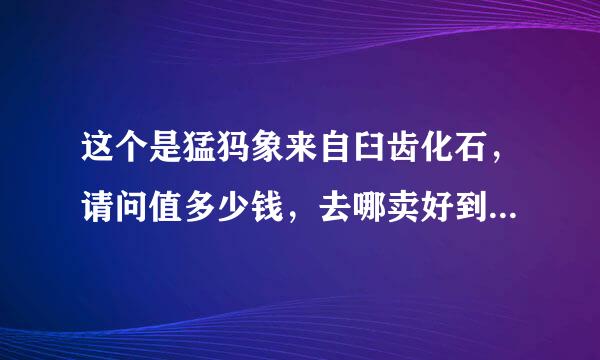 这个是猛犸象来自臼齿化石，请问值多少钱，去哪卖好到形项呢?