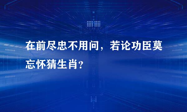 在前尽忠不用问，若论功臣莫忘怀猜生肖？