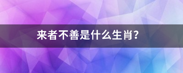 来者不善是什么生肖？