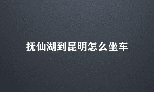 抚仙湖到昆明怎么坐车