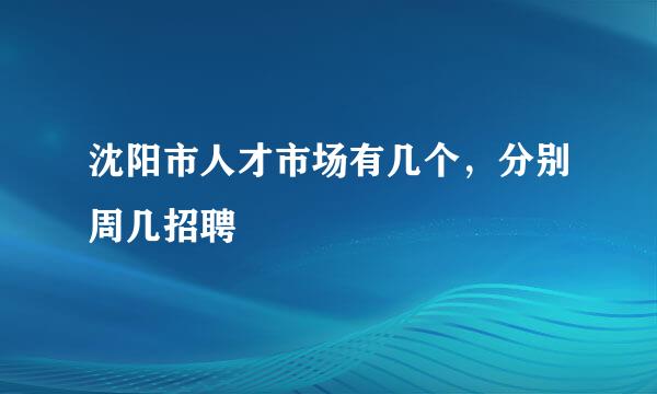 沈阳市人才市场有几个，分别周几招聘