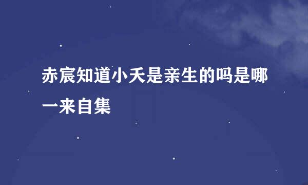 赤宸知道小夭是亲生的吗是哪一来自集