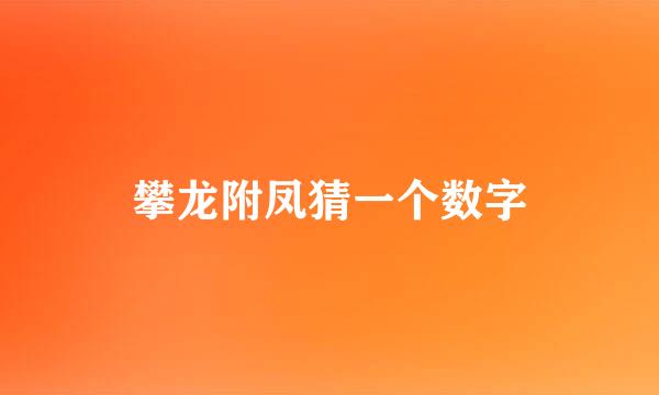 攀龙附凤猜一个数字