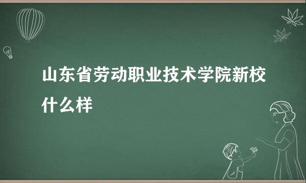 山东省劳动职业技术学院新校什么样