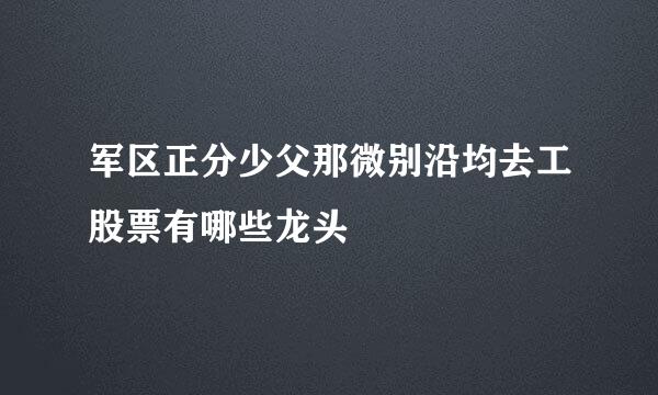 军区正分少父那微别沿均去工股票有哪些龙头