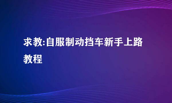 求教:自服制动挡车新手上路教程