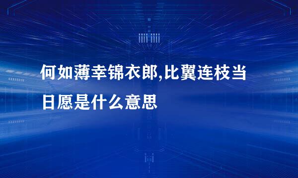 何如薄幸锦衣郎,比翼连枝当日愿是什么意思