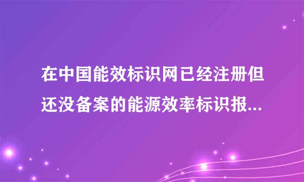 在中国能效标识网已经注册但还没备案的能源效率标识报告怎样写